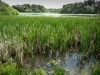 Knepp lake - 1