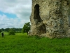 remains of Knepp Castle